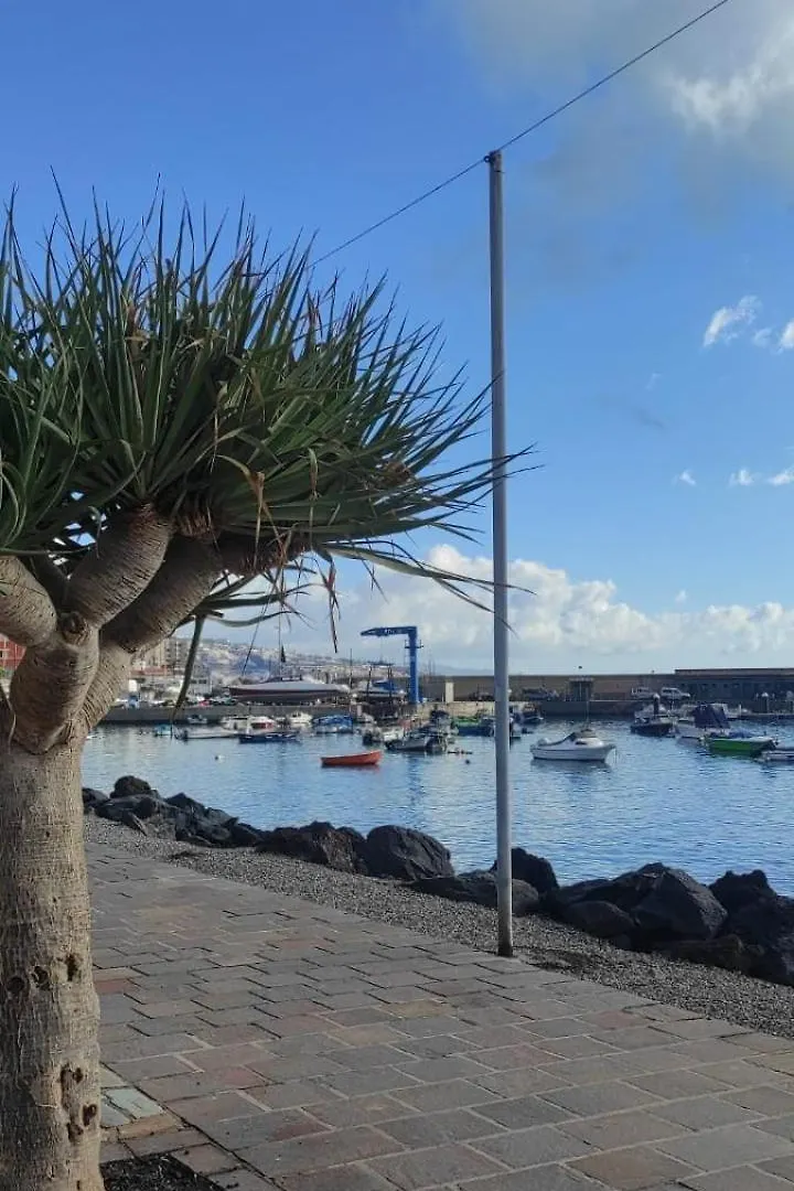 شقة El Rincon Del Mar كانديلاريا